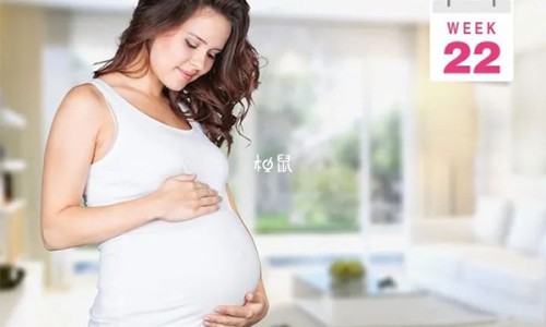 运动后脂肪率上升网—知名的运动后脂肪率反而上升了网站,分享运动后脂肪率上升正常吗知识